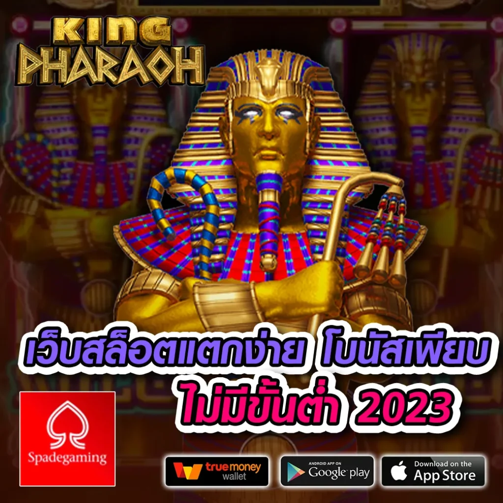 taipei 666 ออโต้